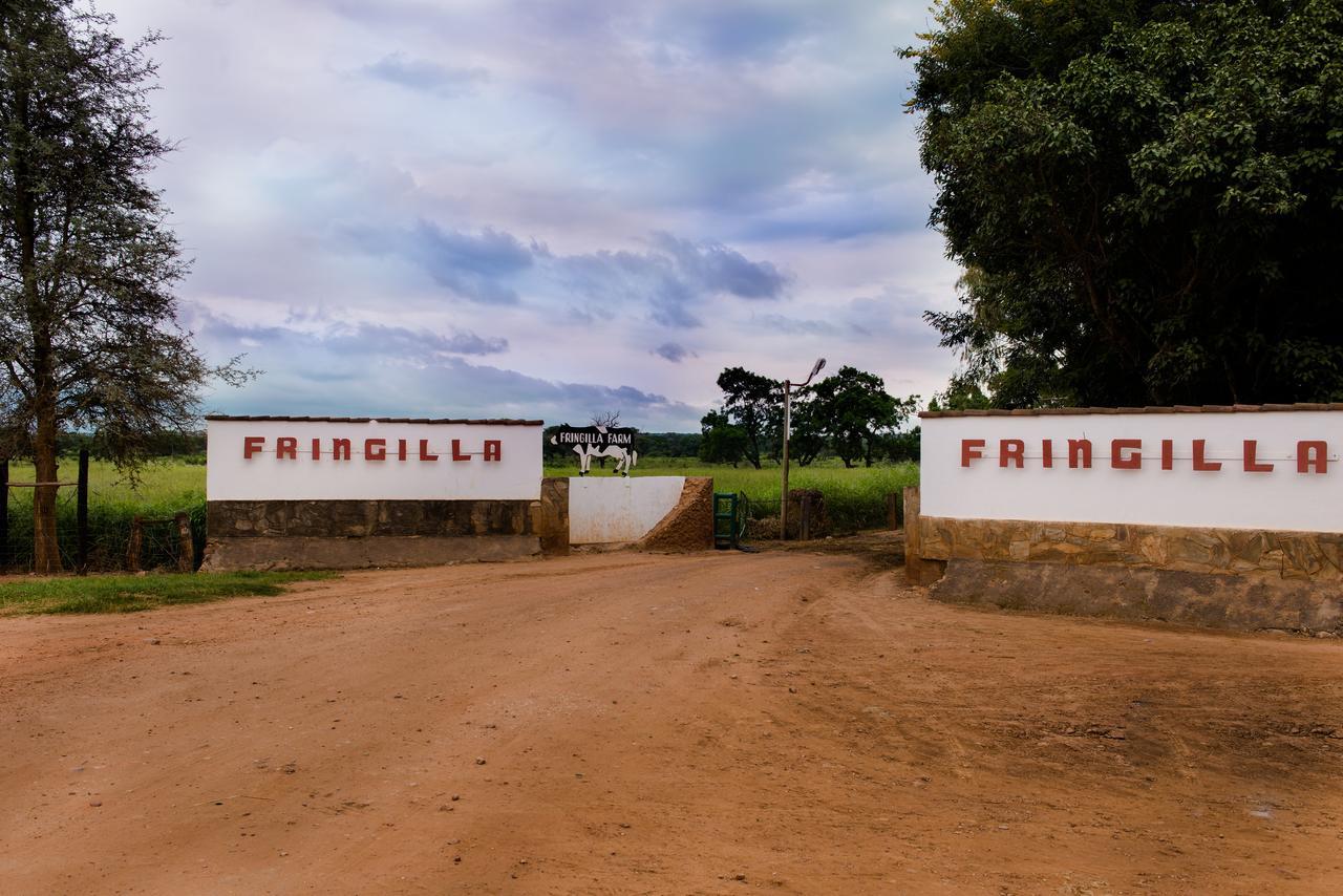 Fringilla Lodge Chisamba Esterno foto